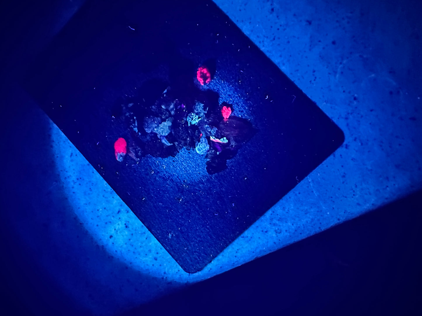 Premium Wyoming Ruby Master Vault