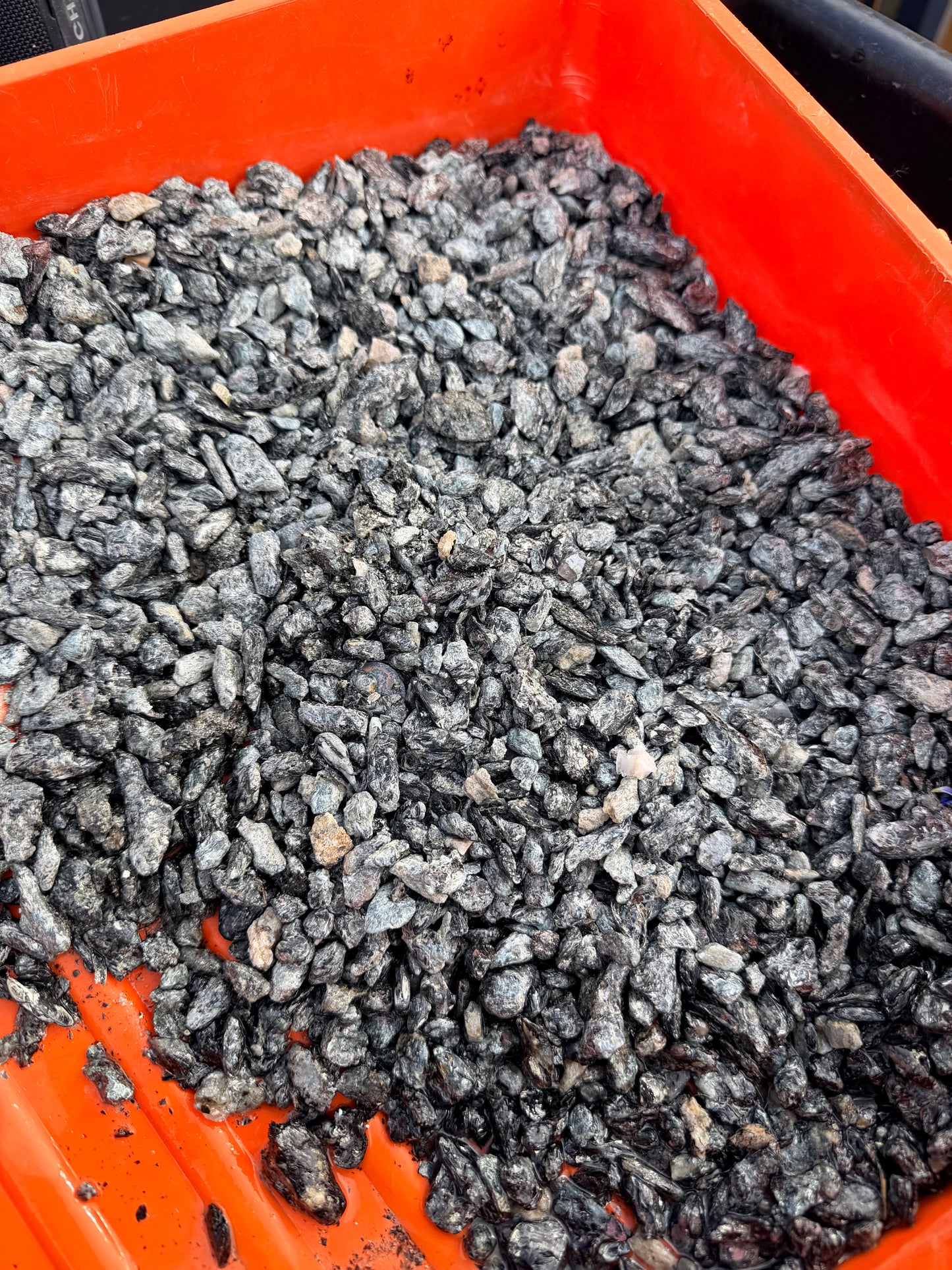 Deep Time Fines — Wyoming Craton | Gem Hunt Vial