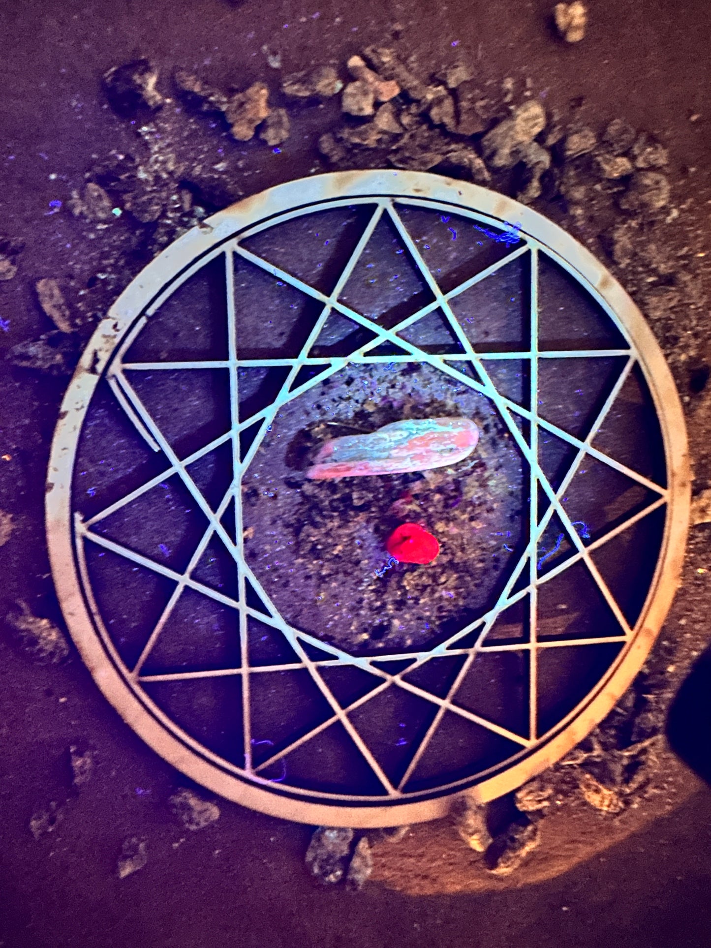 Wyoming Starlight Crystal Starter Kit – Kyanite, Ruby/Sapphire, Cosmic Stardust + Sacred Grid (Beginner Crystal Set)