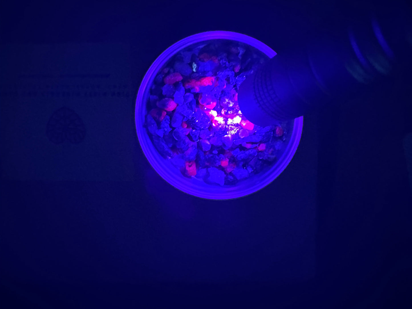 Wyoming Starlight Crystal Starter Kit – Kyanite, Ruby/Sapphire, Cosmic Stardust + Sacred Grid (Beginner Crystal Set)