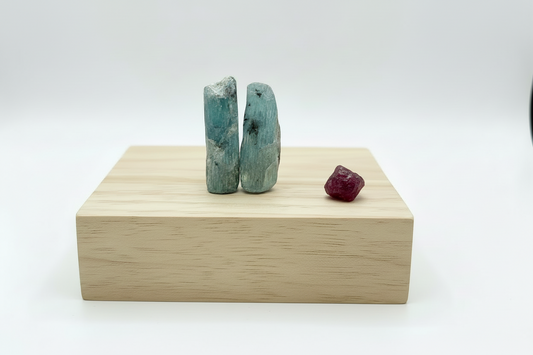 Two Natural Kyanite Blades + 1 Carat Ruby - Wyoming Craton Collection